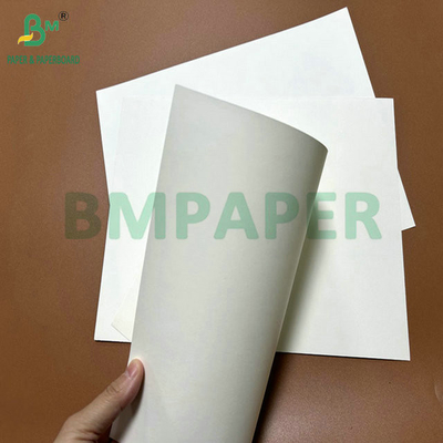 31 pollici 35 pollici 230 grammi 260 grammi PE rivestito Coppa Paper Roll per tazze da caffè