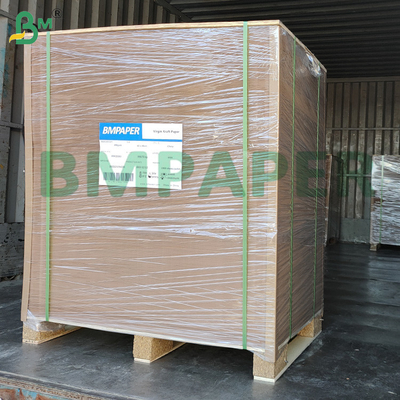 Carta base per tazze naturale marrone 320g + 20g di rivestimento in PE