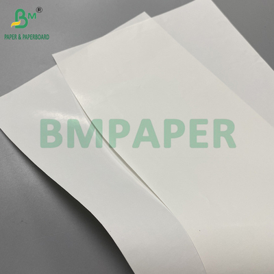 70gm 75gm Carta resistente all'umidità per l'etichetta dell'orso 24" x 36" in foglio Reem avvolto Bianco 98%
