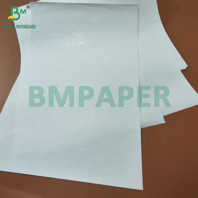 Carta termica per etichette logistiche 600 mm