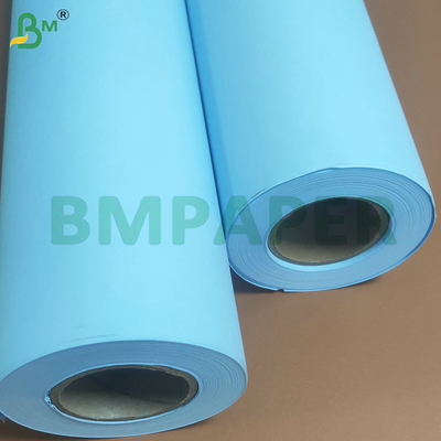 Ingegneria a 20 libbre, doppio lato, blu, cartelloni di carta, 610 mm x 100 m.