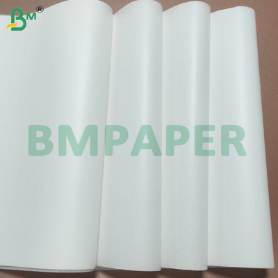 Fogli di carta biodegradabili, sicuri per alimenti, con rivestimento in silicone