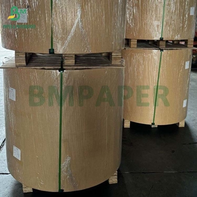 Biodegradabile 100 gm - 400 gm Rollo di carta a base di polpa di canna da zucchero naturale