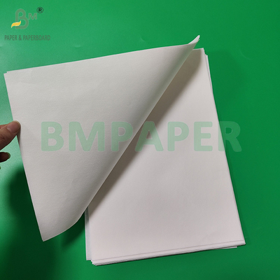 50 grammi 328 mm 500 mm Bianco e marrone carta filtro per caffè rotolo di qualità alimentare