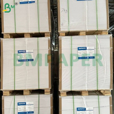 Carta NCR ecocompatibile     Duplicazione istantanea e nessun carbonio necessario