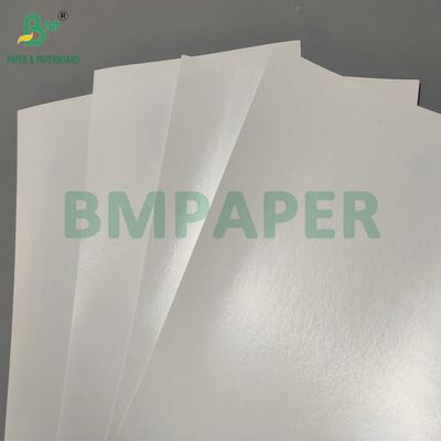 Acqua resistente Single PE rivestito 190gsm 210gsm Cupstock per la fabbricazione di tazze di carta calde e fredde