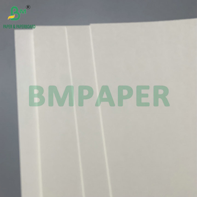 Acqua resistente Single PE rivestito 190gsm 210gsm Cupstock per la fabbricazione di tazze di carta calde e fredde