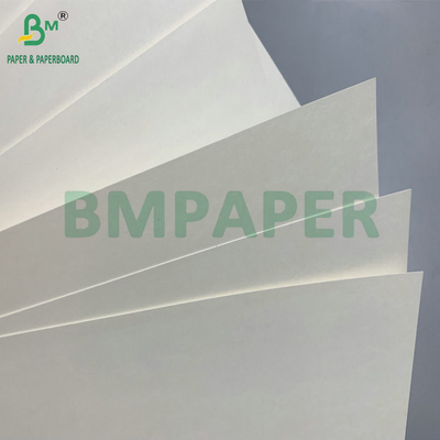 Acqua resistente Single PE rivestito 190gsm 210gsm Cupstock per la fabbricazione di tazze di carta calde e fredde