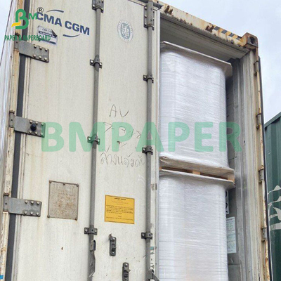 50 grammi di pasta di legno sbiancata e non sbiancata carta filtro per caffè di qualità alimentare 328 mm