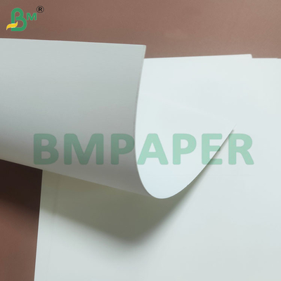 Protezione resistente all'umidità con rivestimento in PE Rulli di carta per tazze usa e getta