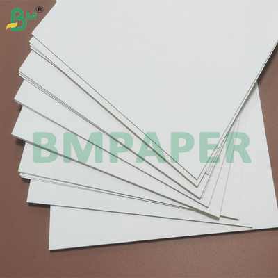 Protezione resistente all'umidità con rivestimento in PE Rulli di carta per tazze usa e getta