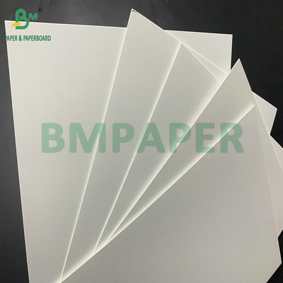 Cartuccio per frigorifero con rivestimento in PE impermeabile 275 gm 325 gm per scatole di gamberetti congelati