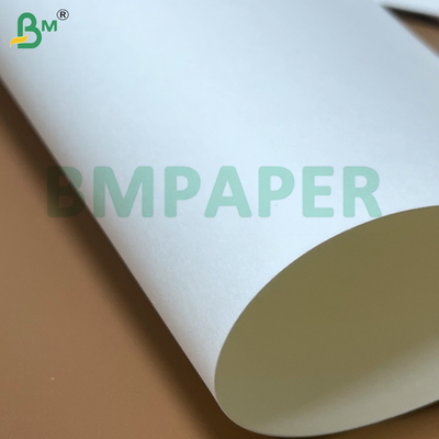 PE rivestito Non tossico Eco-friendly buona malleabilità Acqua resistente Coppa fogli di carta per coppa