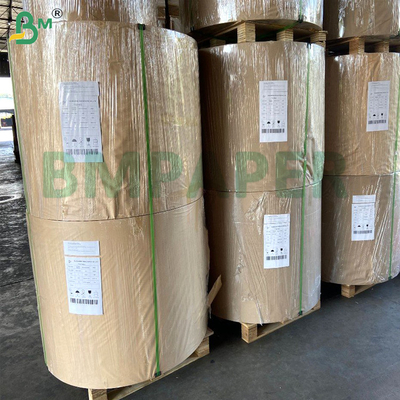 Risistenza all'umidità Grandi estensibili per alimenti 250 gm 275 gm Cartone bianco per imballaggi alimentari surgelati