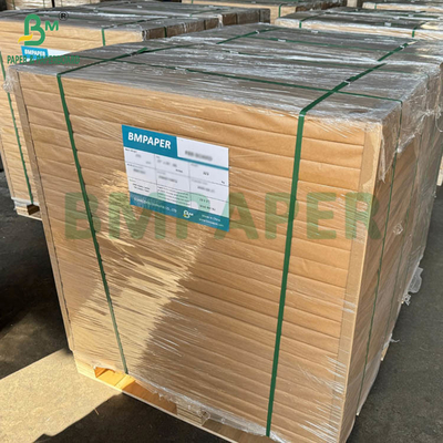 260 g 280 g Carta PET bianca di buona qualità per vassoio del forno Resistente al calore 200 + gradi