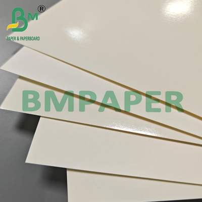 315 grammi Biodegradabile PET Kraft Paper Contenitore alimentare Per pranzo Cena
