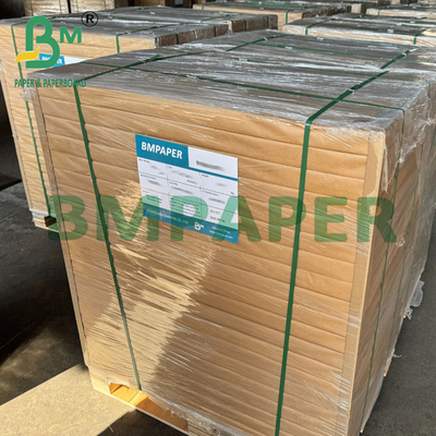 315 grammi Biodegradabile PET Kraft Paper Contenitore alimentare Per pranzo Cena