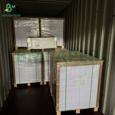 240 gm 260 gm Bianco Cupp1s carta da stampa per la fabbricazione di tazze 700 mm 800 mm
