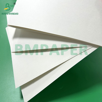 240 gm 260 gm Bianco Cupp1s carta da stampa per la fabbricazione di tazze 700 mm 800 mm