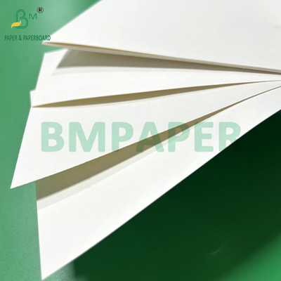 240 gm 260 gm Bianco Cupp1s carta da stampa per la fabbricazione di tazze 700 mm 800 mm