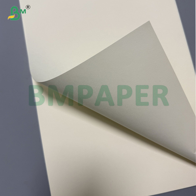 80 gm Carta Offest di Crema d'Avorio senza acido per stampa editoriale 70 x 100 cm