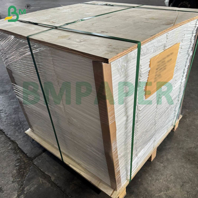 140lb 300gm carta ad acqua A4 210x297mm calda stampa fredda stampa carta di artista grezza