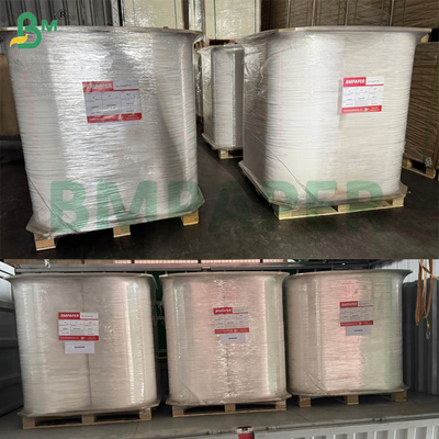 60g Carta di paglia alimentare 15mm x 3100mm Per paglie per bevande Diversi modelli