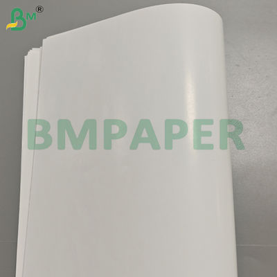 C1S 70GSM Rulli di carta lucida rivestiti su un lato per etichette di birra