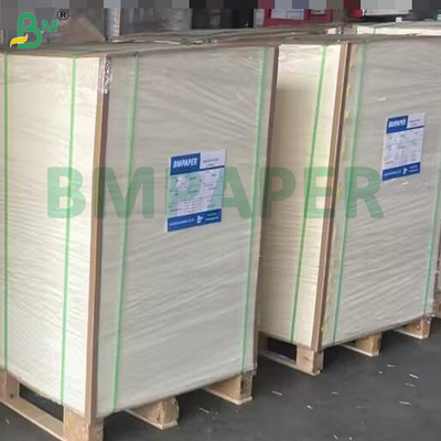 40 grammi di carta da forno rivestita in silicone resistente al calore e non adesiva al forno