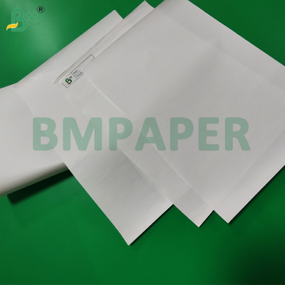 Rotolo Jumbo di Carta Termica 55gsm 65gsm per Macchine POS 480mm Eco-compatibile
