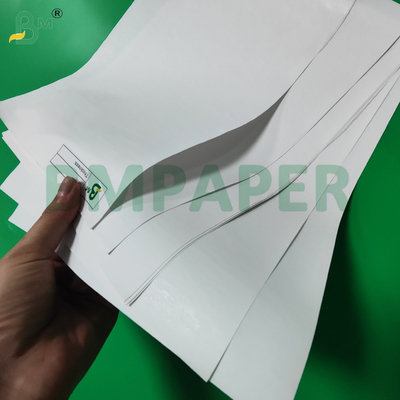 Rotolo Jumbo di Carta Termica 55gsm 65gsm per Macchine POS 480mm Eco-compatibile