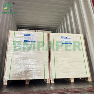 350GSM 400GSM Cartone monolaterale a bolle lucide per vassoi termoformati