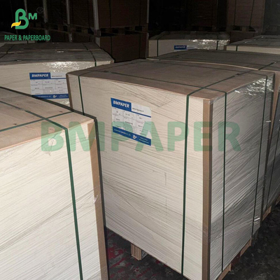 350GSM 400GSM Cartone monolaterale a bolle lucide per vassoi termoformati