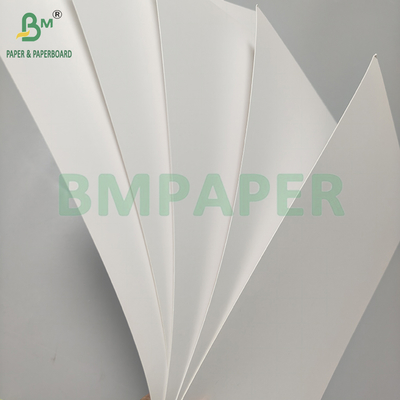 Carta bianca patinata C1S da 250-400 gsm per blister in cartone
