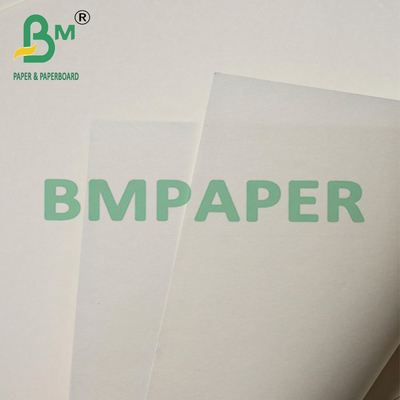 Carta Bond Beige Compostabile 100% Pasta di Legno per Stampa Offset