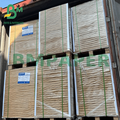 Carta Bond Beige Compostabile 100% Pasta di Legno per Stampa Offset
