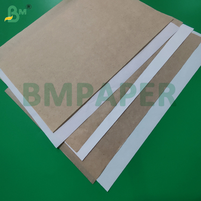 40GSM vetro antimoffa con rivestimento di carta 2272mm resistente agli graffi
