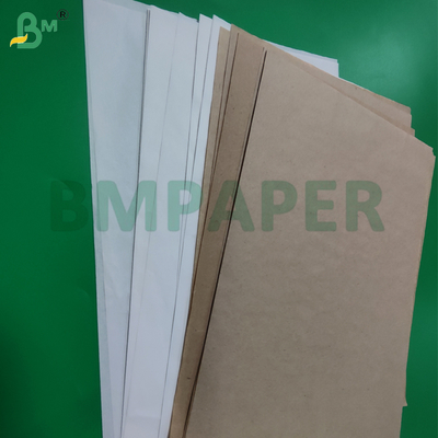 40GSM vetro antimoffa con rivestimento di carta 2272mm resistente agli graffi