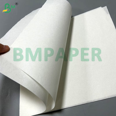 Carta filtro 50gsm 340mm 380mm per alimenti bianca marrone per caffè per caffetteria