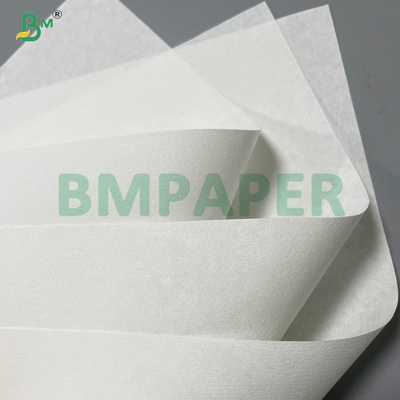 20 grammi 25 grammi 33 grammi 50 grammi Crepe Finish Carta filtro per caffè di qualità alimentare