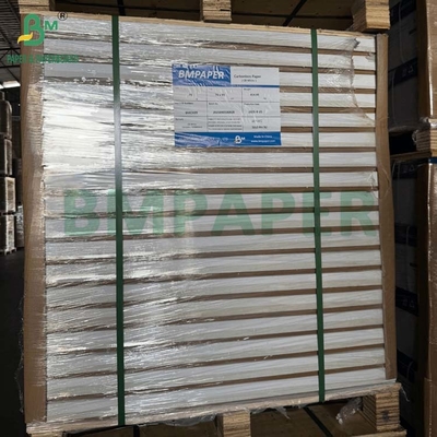 Carta di copia NCR 60 gm 65 gm per stampare moduli di lettera di consegna