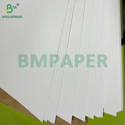 Good Adhesion Heat Sealing Blister Cardboard 400g for Clamshell Packing