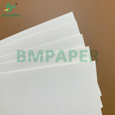 15g PE Coated Paperboard 220g 240g For Greaseproof Food Container