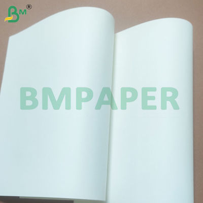 Rotoli di carta senza legno da 70 gsm 75 gsm con buon effetto di stampa per la stampa