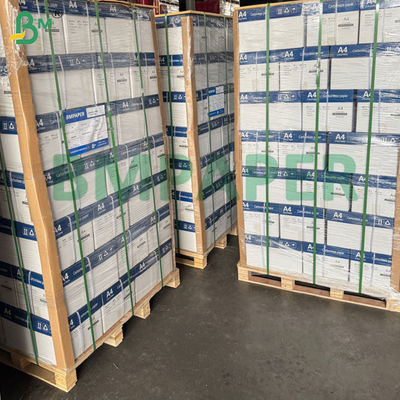 20# Carta Copiativa Duplicata Colorata Senza Carbonio per Registro, Confezione da 500 Fogli