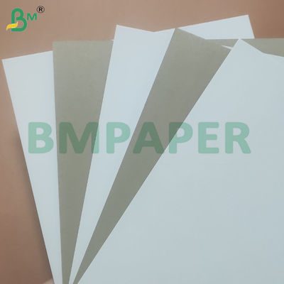 300gsm 450gsm CCNB Grey Back White Cardboard Sheets 700*860mm