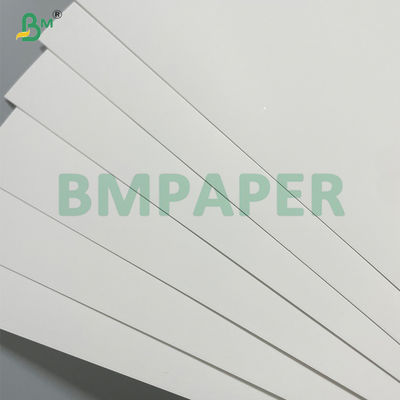 Food Grade FDA 240gsm Waterproof Bleached Cup Base Paper