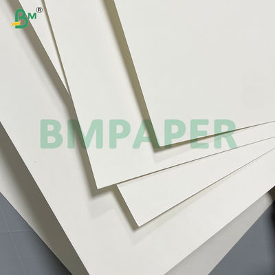 230gsm + 15PE Coated  White Cup Stock Paper For Paper cup / Bowl