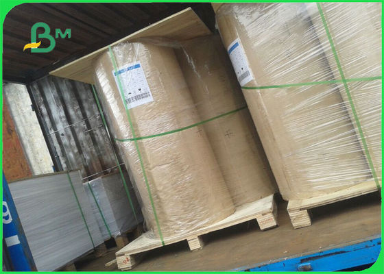 250 300 350GSM Tavola duplex rivestita sul lato superiore