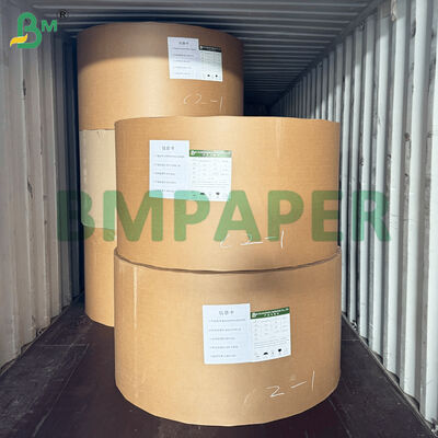 Materiale di carta per piatti da pranzo con rivestimento in PET Carta per vassoi alimentari in colore bianco